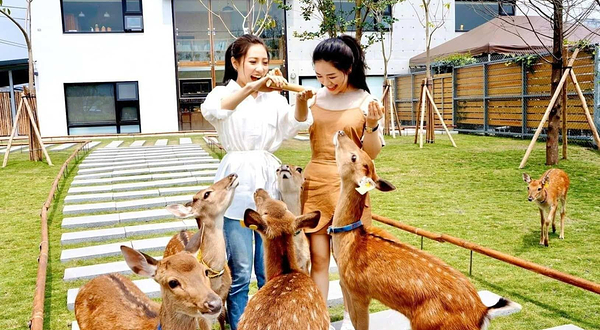 Yilan Zhangmei Grandma Farm