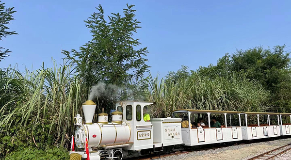 温江北林小火车