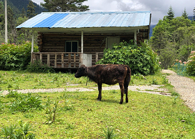 南伊珞巴民族乡