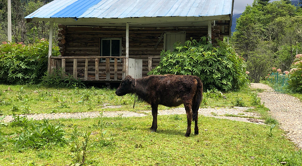 南伊珞巴民族乡