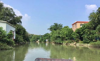 番禺东涌之湿地公园