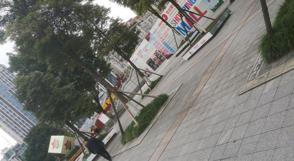 巴中市政府-广场