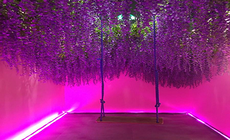 长春恋爱博物馆