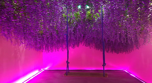 长春恋爱博物馆