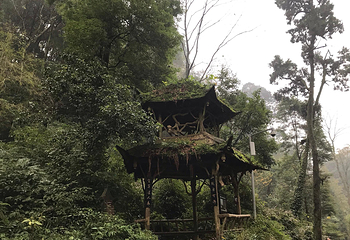 天然阁第 1 张图片