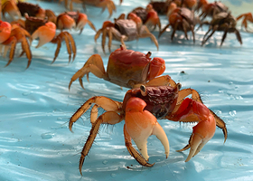 酷芽亲子乐园 (家天下店)