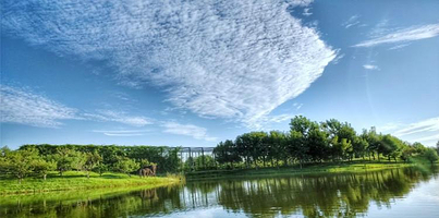 圣露海利根花园