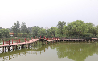 东昌湖湿地岛休闲渔业公园