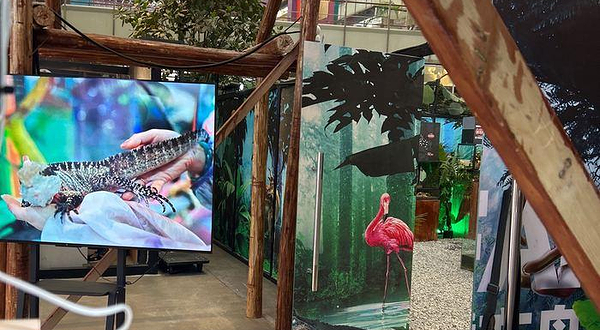 SAFARI 秘境方舟沉浸式动物展（重庆新光天地店）