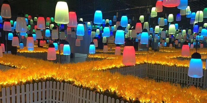 成都5D光影幻境艺术馆(天府广场旗舰店)