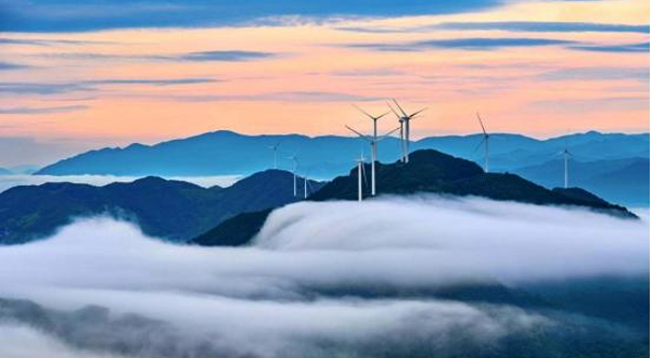 艺起富1号•枫槎艺术农场