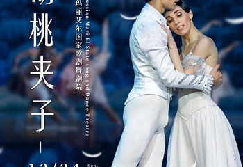 【青岛】芭蕾舞剧《胡桃夹子》第 1 张图片