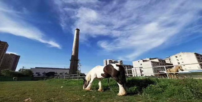 荣和马术俱乐部