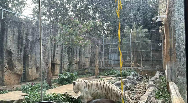 热作两院植物园