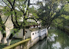 白马湖森林公园