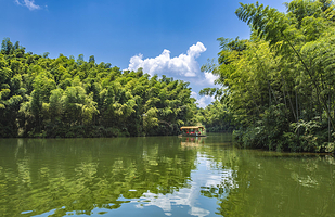 蜀南竹海漂流
