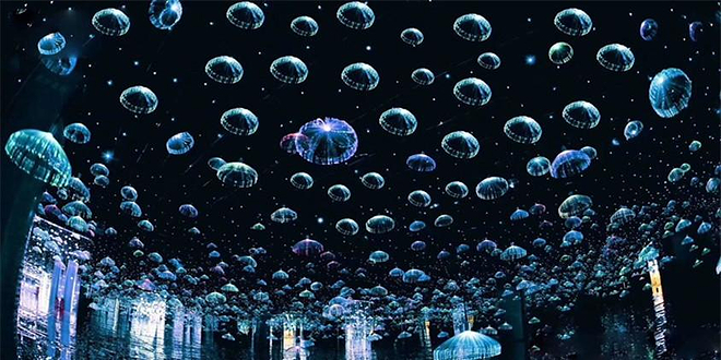 上海梦幻星空抖乐园