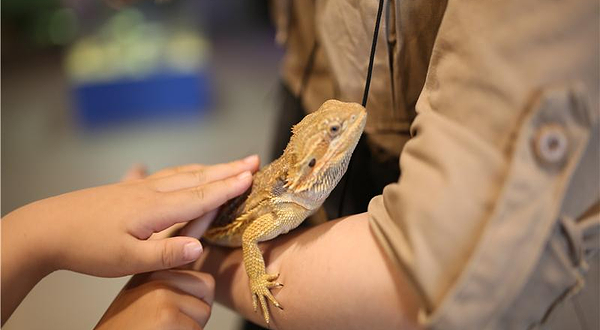 萌宠奇缘室内主题动物园