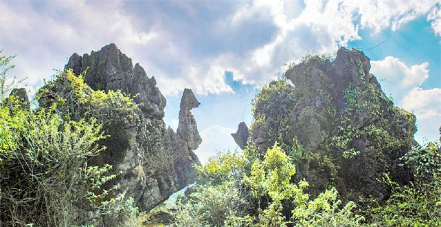龙马山生态旅游度假区