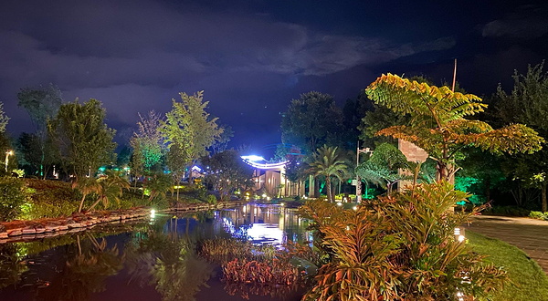 高黎贡山植物园