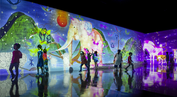 TeamLab 未来游乐园＆与花共生的动物