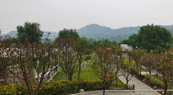 冲鸭梨花溪露营地