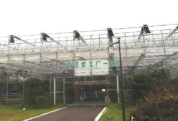 柯柯农艺梦工厂第 1 张图片