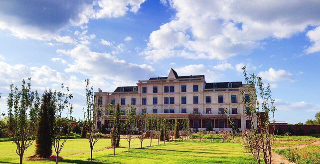 菲尼克司葡萄采摘园