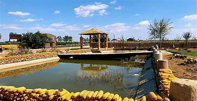 大丰收欢乐农场