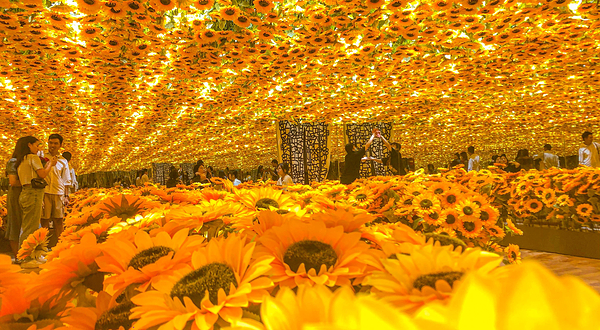 不一样的毕加索大师作品展(南京站)