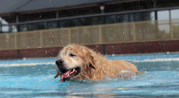 酷贝E族大同湖宠物主题乐园