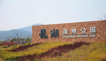 龙湖湿地公园