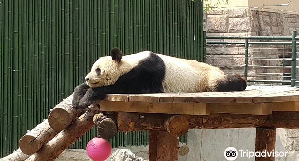 北京濒危动物中心