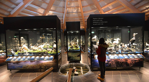 秦皇岛鸟类博物馆