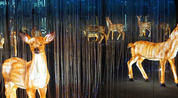 光影星空艺术馆