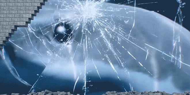 趣味朱家角数字展厅