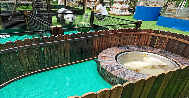 萌宠时光动物森林