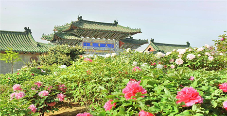天香牡丹园第 1 张图片