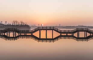 渤公岛生态公园