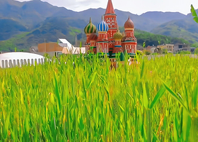 罗源麦苗农场星空露营地