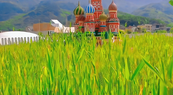 罗源麦苗农场星空露营地