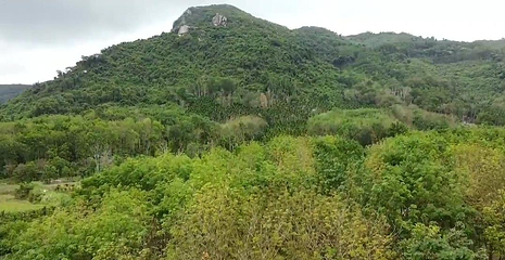 卧龙山第 1 张图片