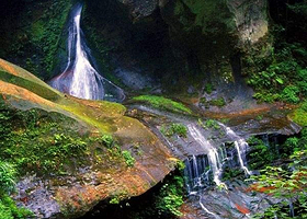 大窝铺原始森林景区