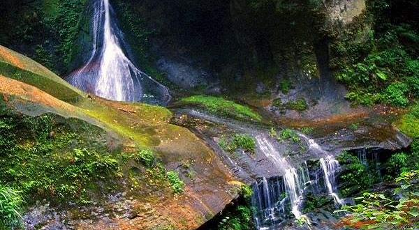 大窝铺原始森林景区