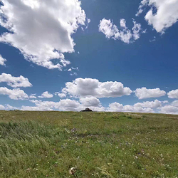 希拉穆仁草原塔布马场