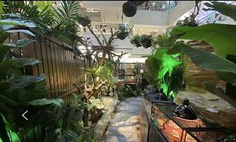 哈库那珍奇动物城（王府井永宁门店）