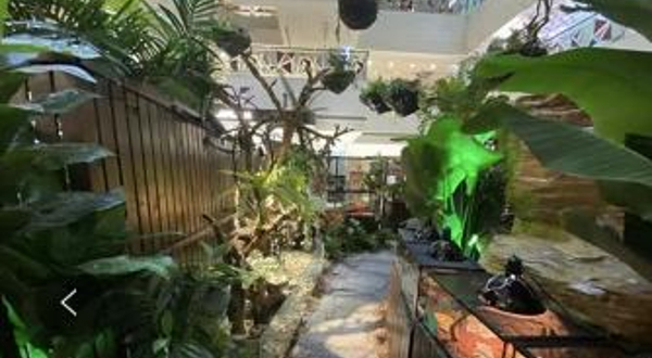 哈库那珍奇动物城（王府井永宁门店）