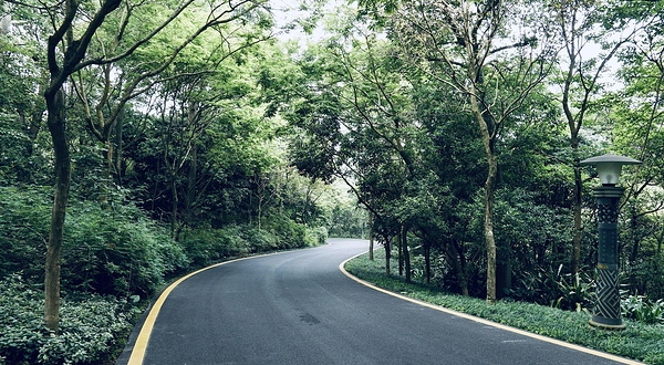 广西珍贵树种展示园