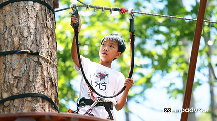 Datanla High Rope Course第 1 张图片