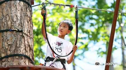 Datanla High Rope Course第 8 张图片